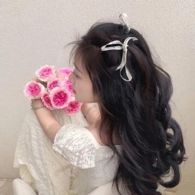 托托的色彩美学观