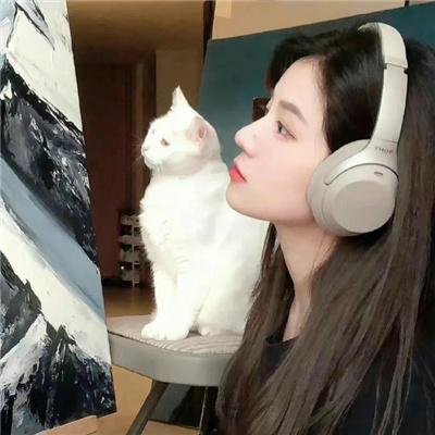 阿尔巴特罗斯